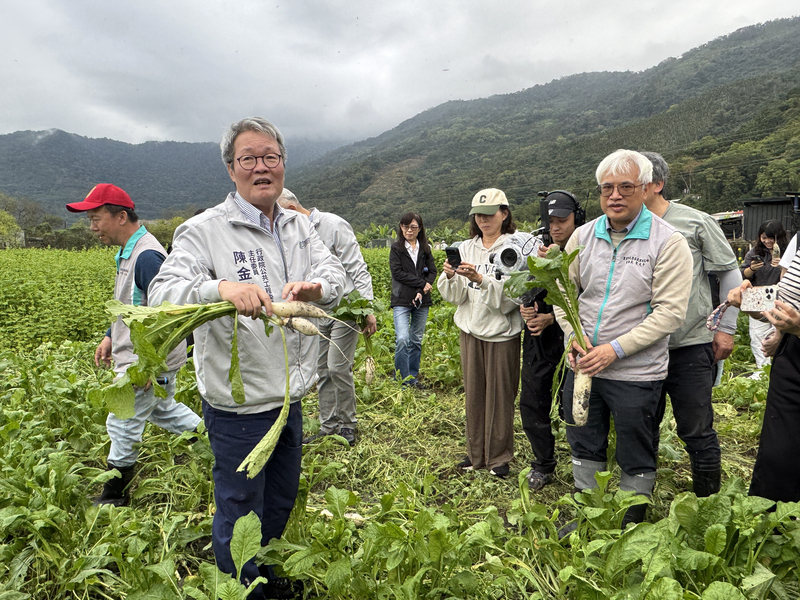 花蓮光復洪災受災農地復耕試驗　陳金德視察