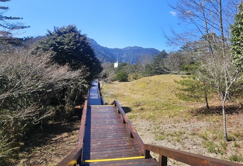 春遊雪霸觀霧　嶄新「雲霧步道」迎客