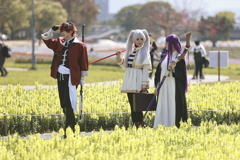 古亭河濱公園花海吸引coser取景（1）