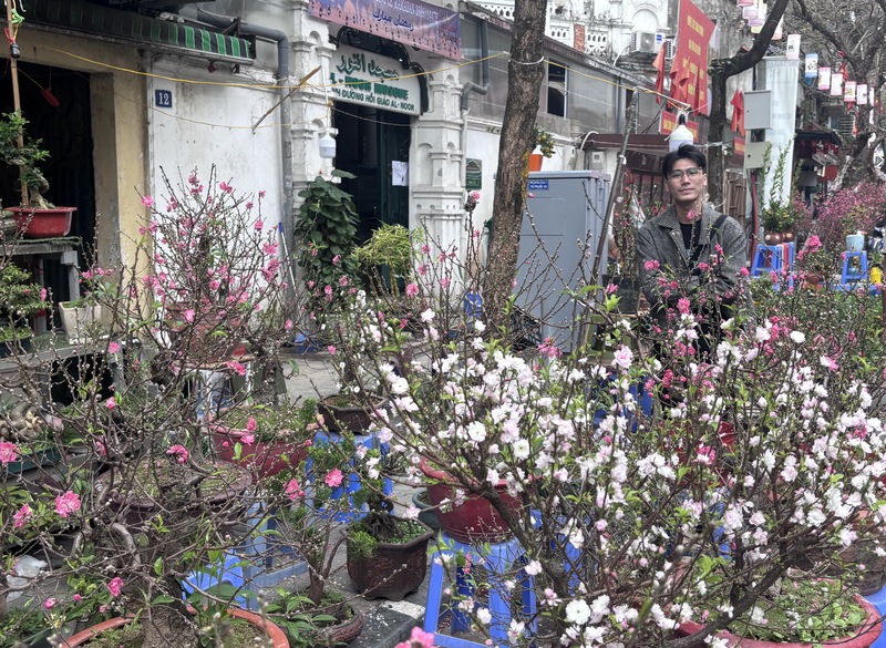 河內老街區花卉市集攤販