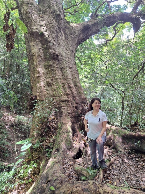 風雨操場校樹要兩全　仰賴專家統籌確保綠覆率