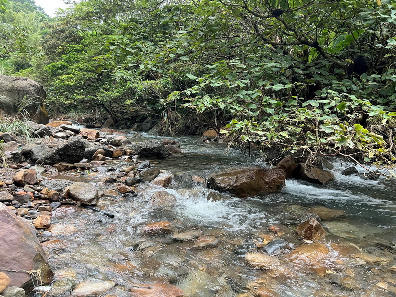 新北瑞芳三安社區秘境（1）