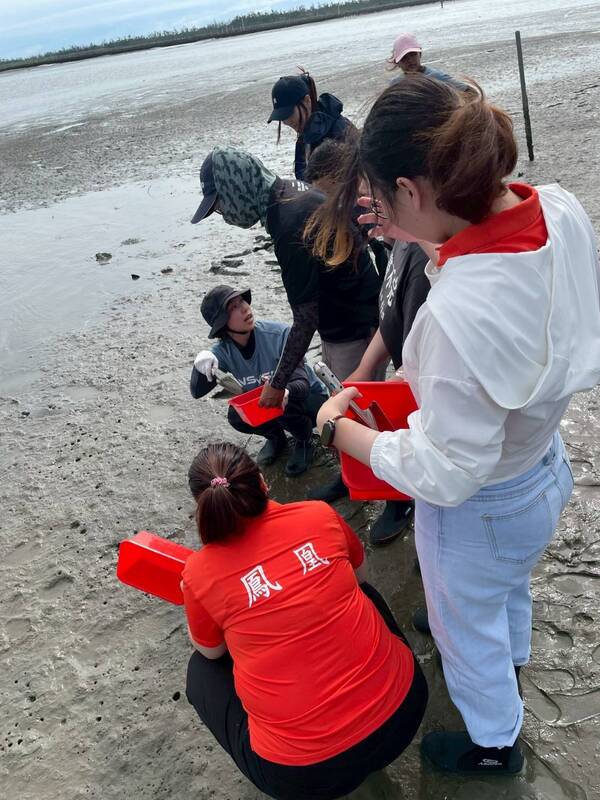 海草復育　企業員工社大民眾參與