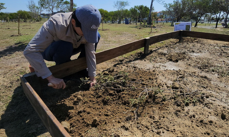 布袋高跟鞋教堂園區植樹（3）